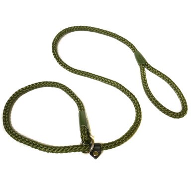 rope_slip_lead_green_1__91963.1583270344.386.513