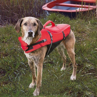 trixie_dog_life_vest_1__74128.1583270431.386.513