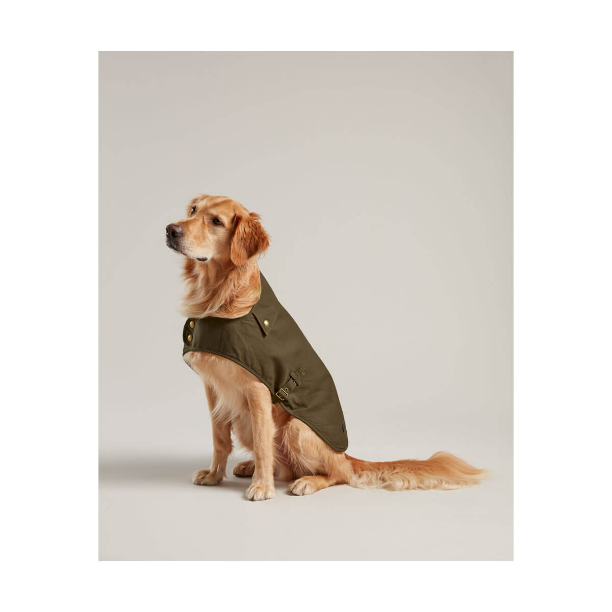 Joules-Wax-Dog-Coat-01