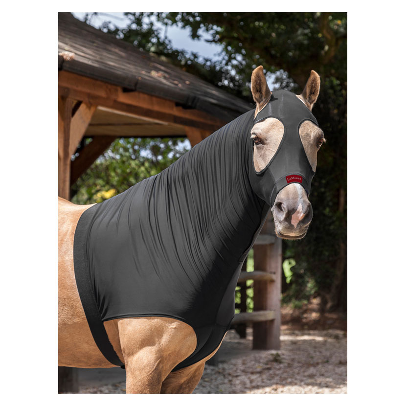 PR-14525-LeMieux-Lycra-Hood-1