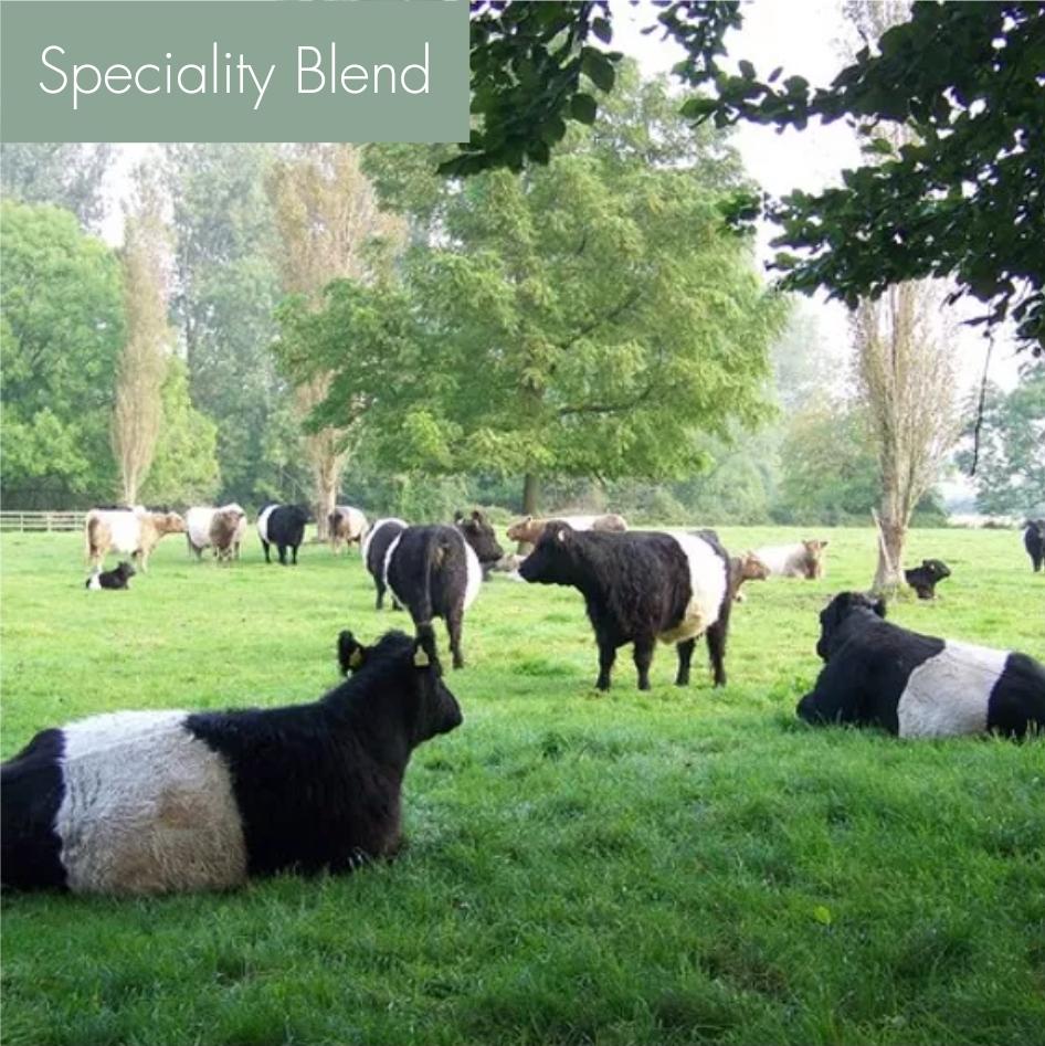 SmartSelect_20210327-121923_Edge