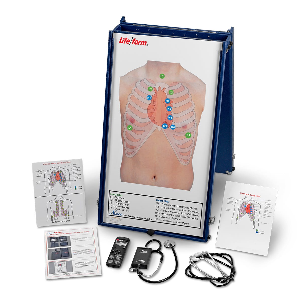 anterior-auscultation-practice-board-with-case-and-smartscope-1810-p