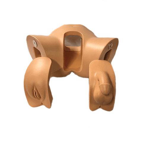 catheterisation-simulator-interchangeable-m-f-3223-p