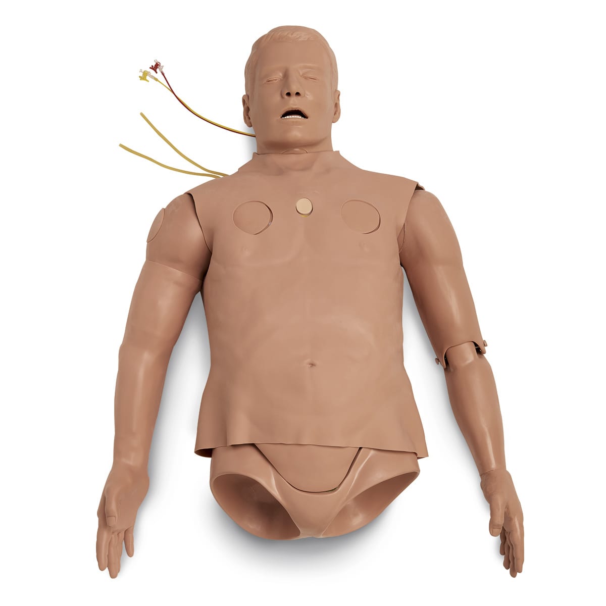 phtls-torso-trainer-1379