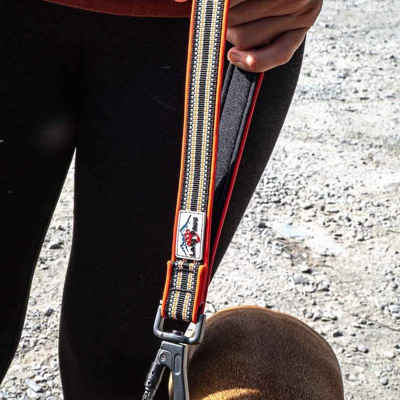 LP-Hiking-ComfortTrafficLeash-2copy