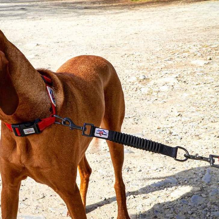 LP-Hiking-UrbanTrekExtender-9