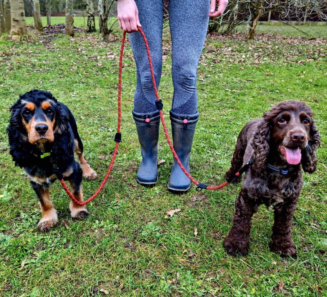 LongPaws-RopeTrainingLeash-Orange-011