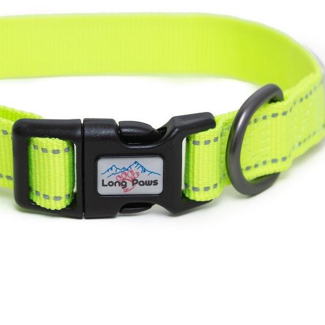 LongPaws-UrbanTrekCollar-NeonYellow6
