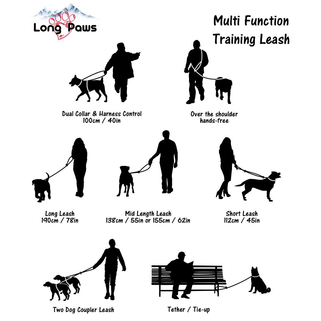 LongPawsMulti-FunctionTrainingLead