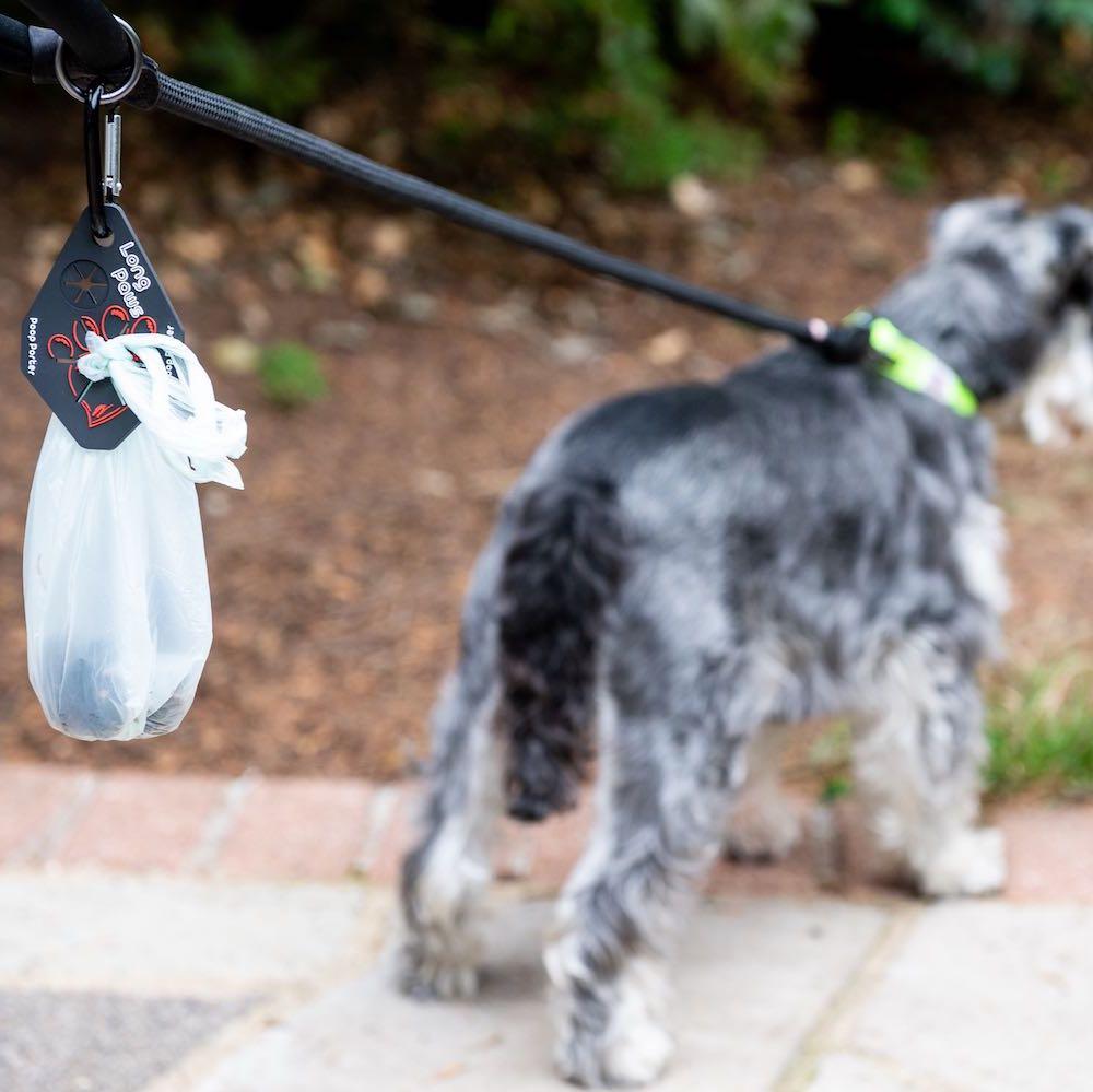 LongPawsPoopPorter-_Schnauzer_1copy