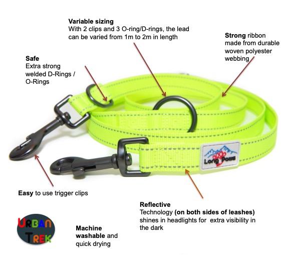 UTTrainingLeashInfographic