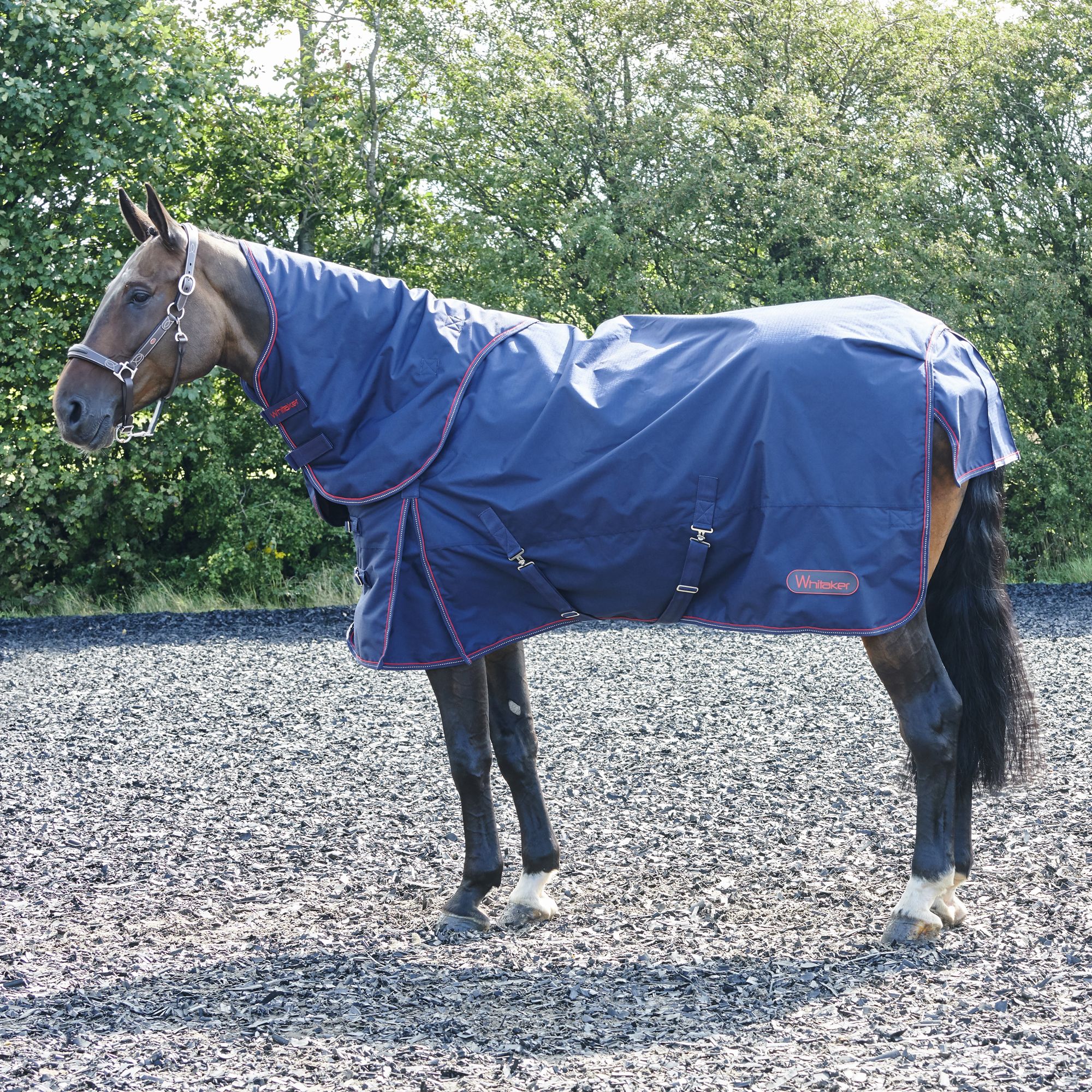 John-Whitaker-Rastrick-Combo-Turnout-Rug-in-Navy-10612-p