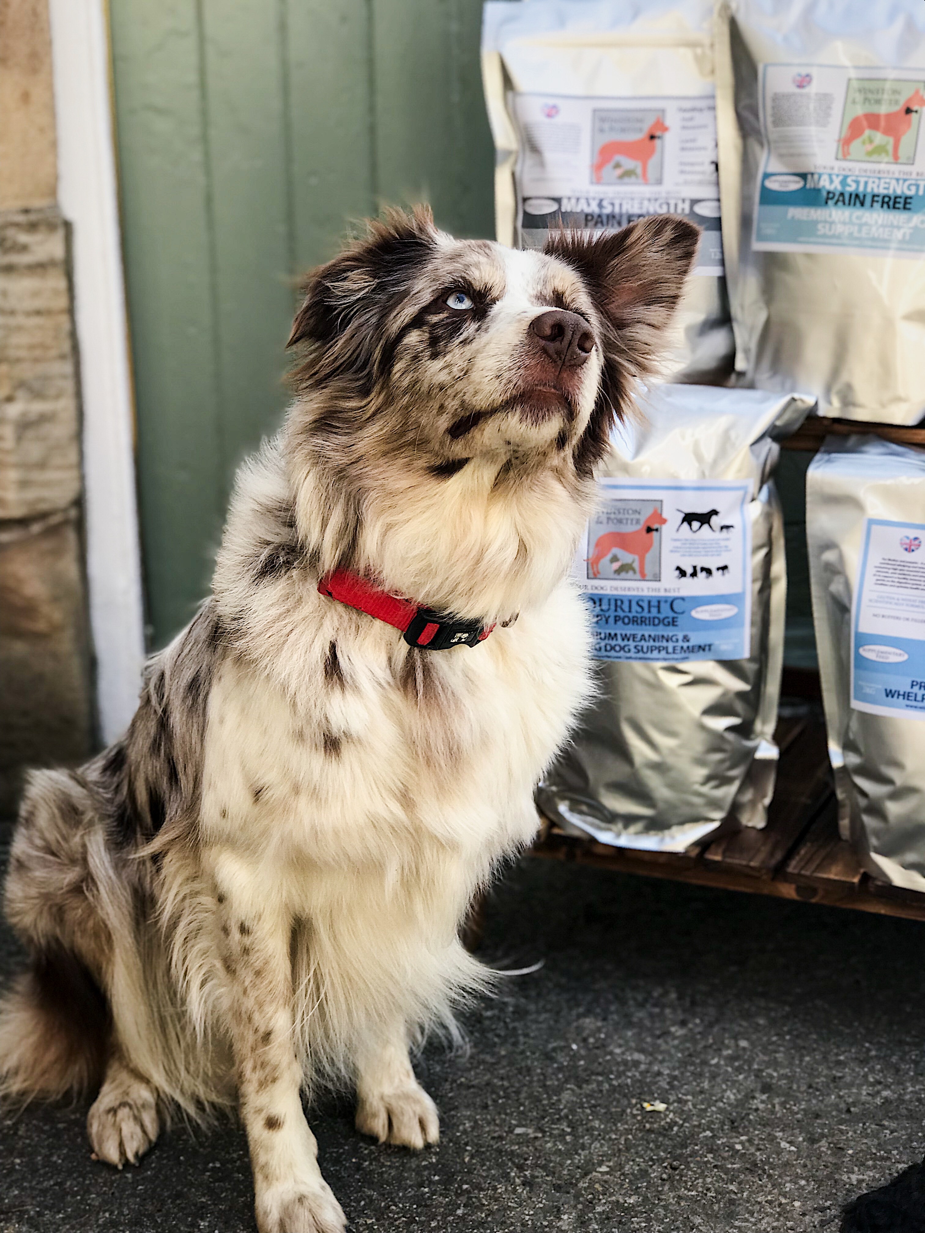 bf8362_2632e8cfc7394fed921892bc87cadfeemv2