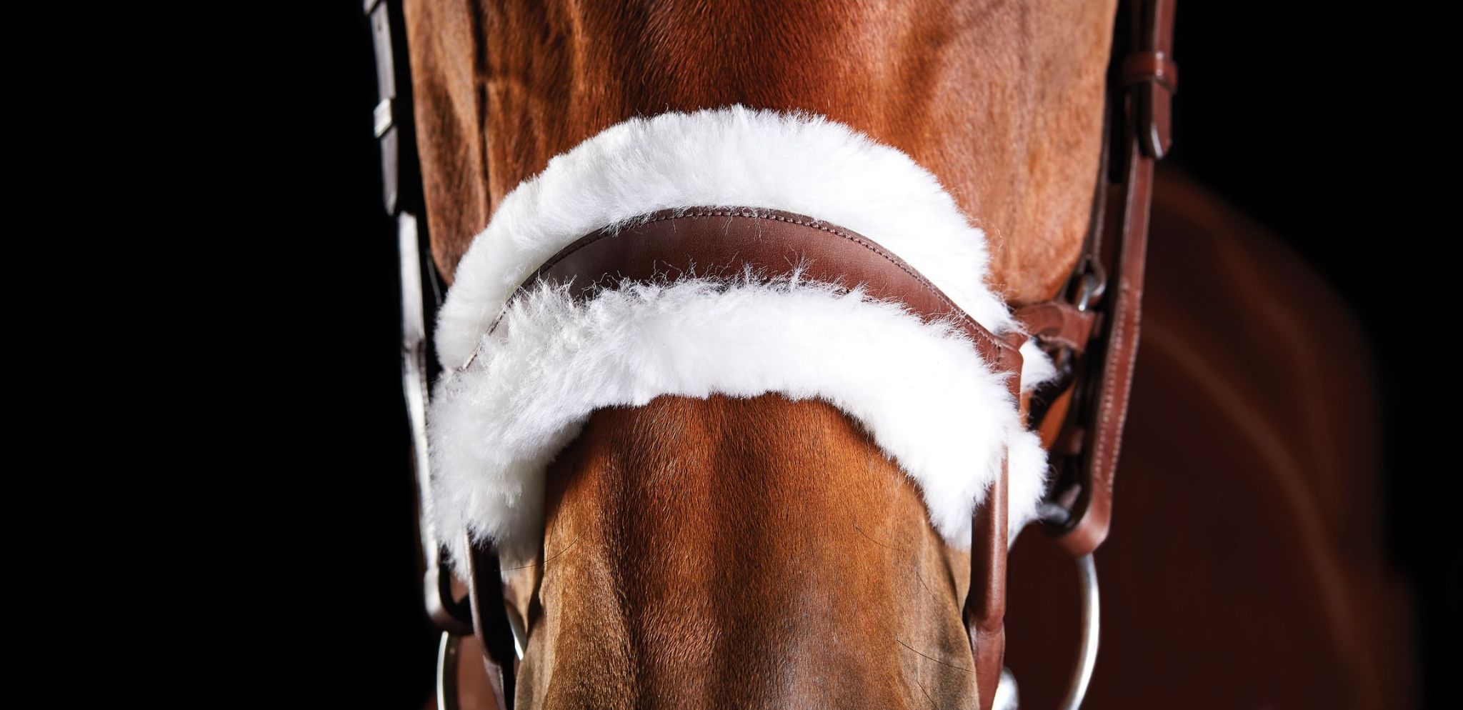 collegiate-comfitec-sheepskin-bridle-colour-brown-size-warmblood-2-53690-p