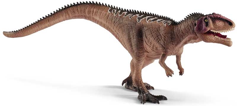 giganotosaurus-juvenile-wholesale-45559