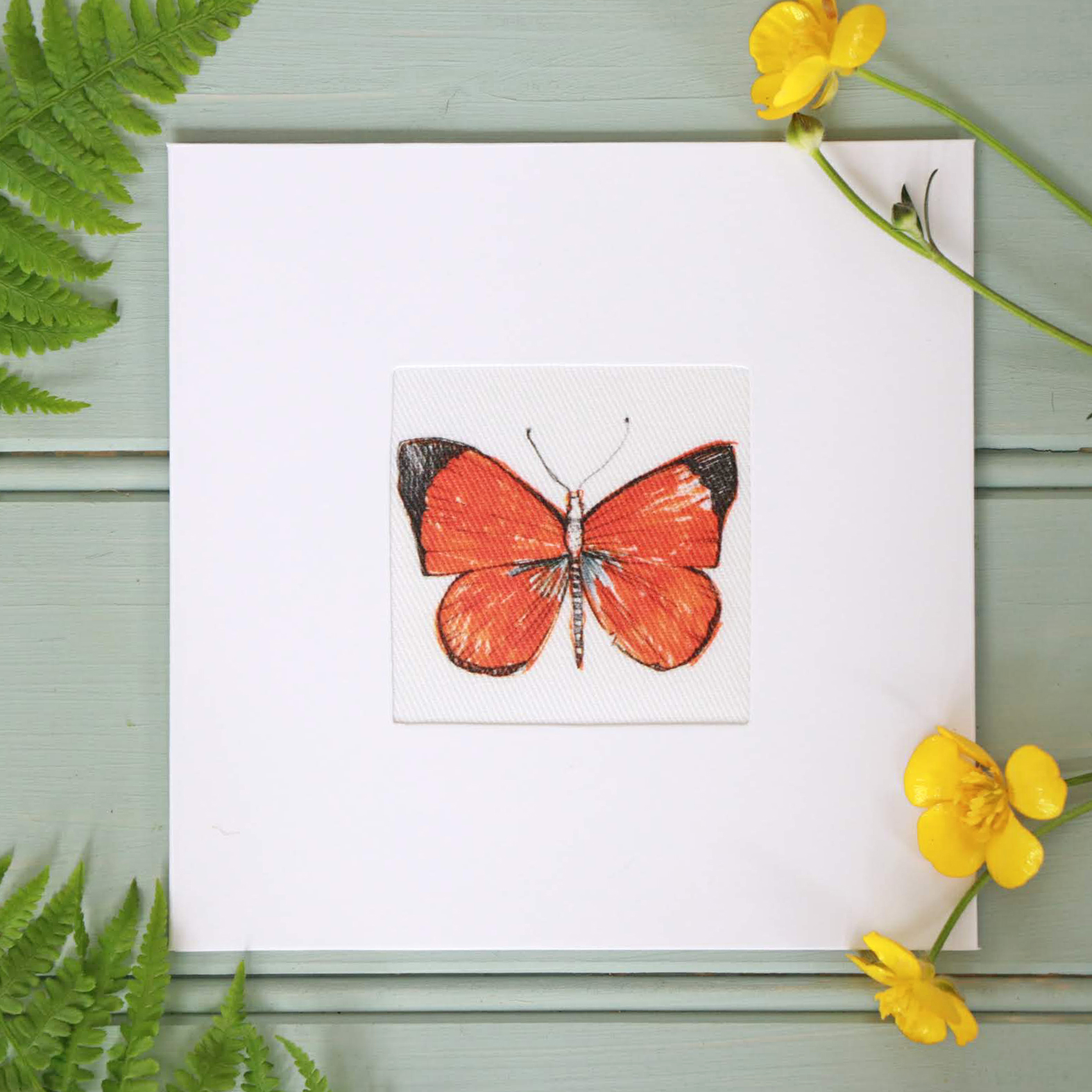 ORANGE-BUTTERFLY
