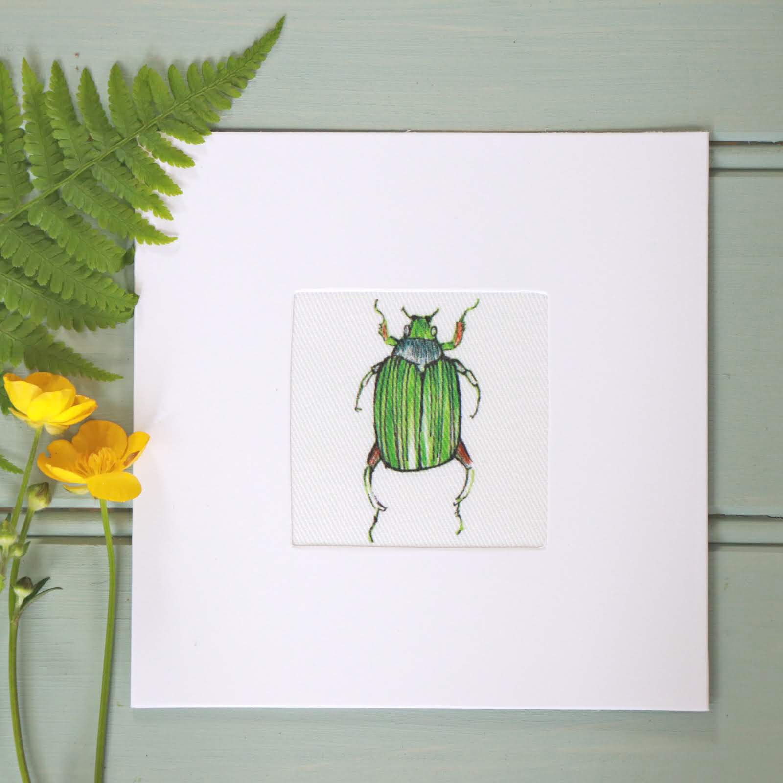 WHITE-BEETLE-CARD