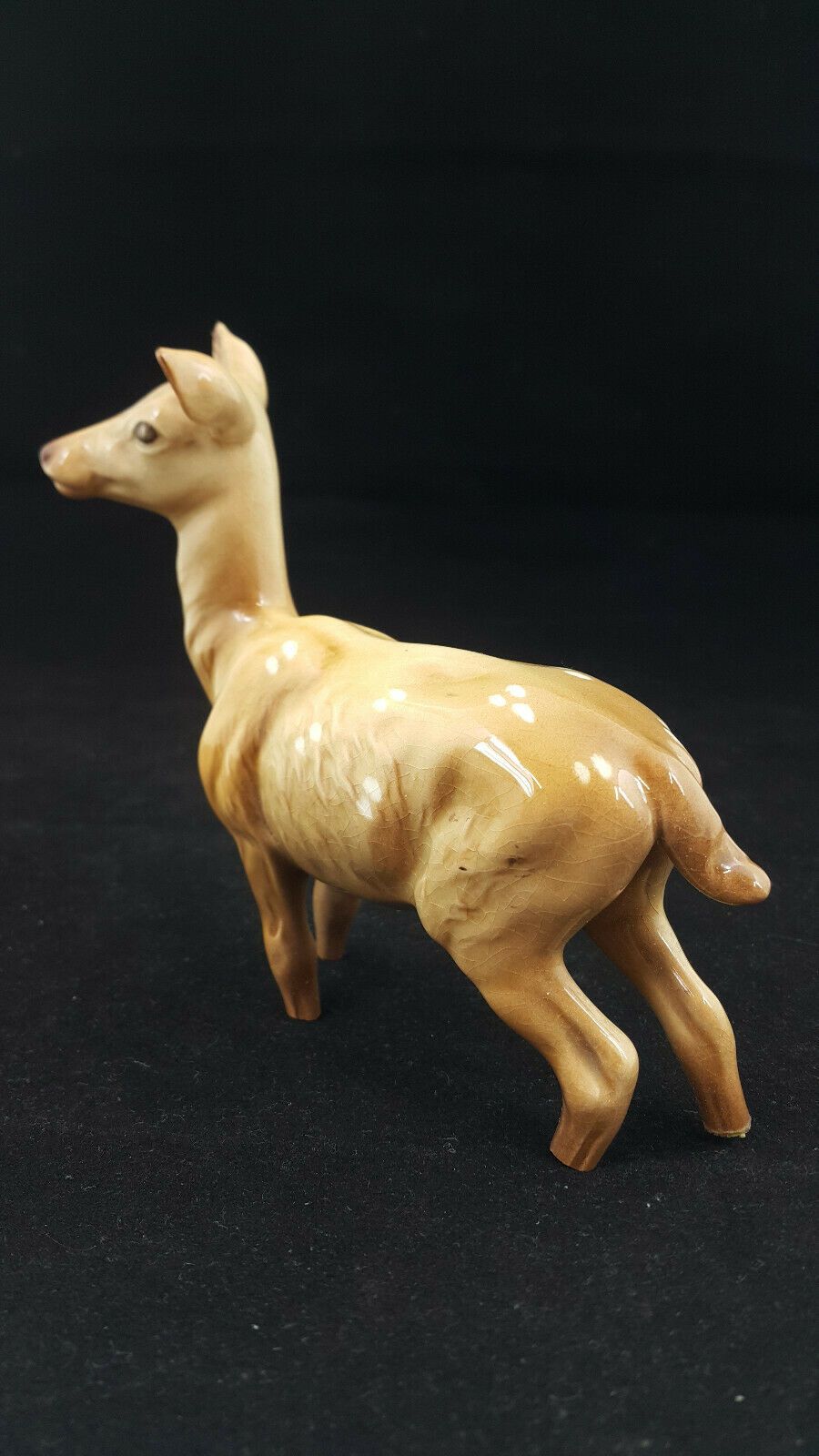 6040faac7eda9bb875739c84