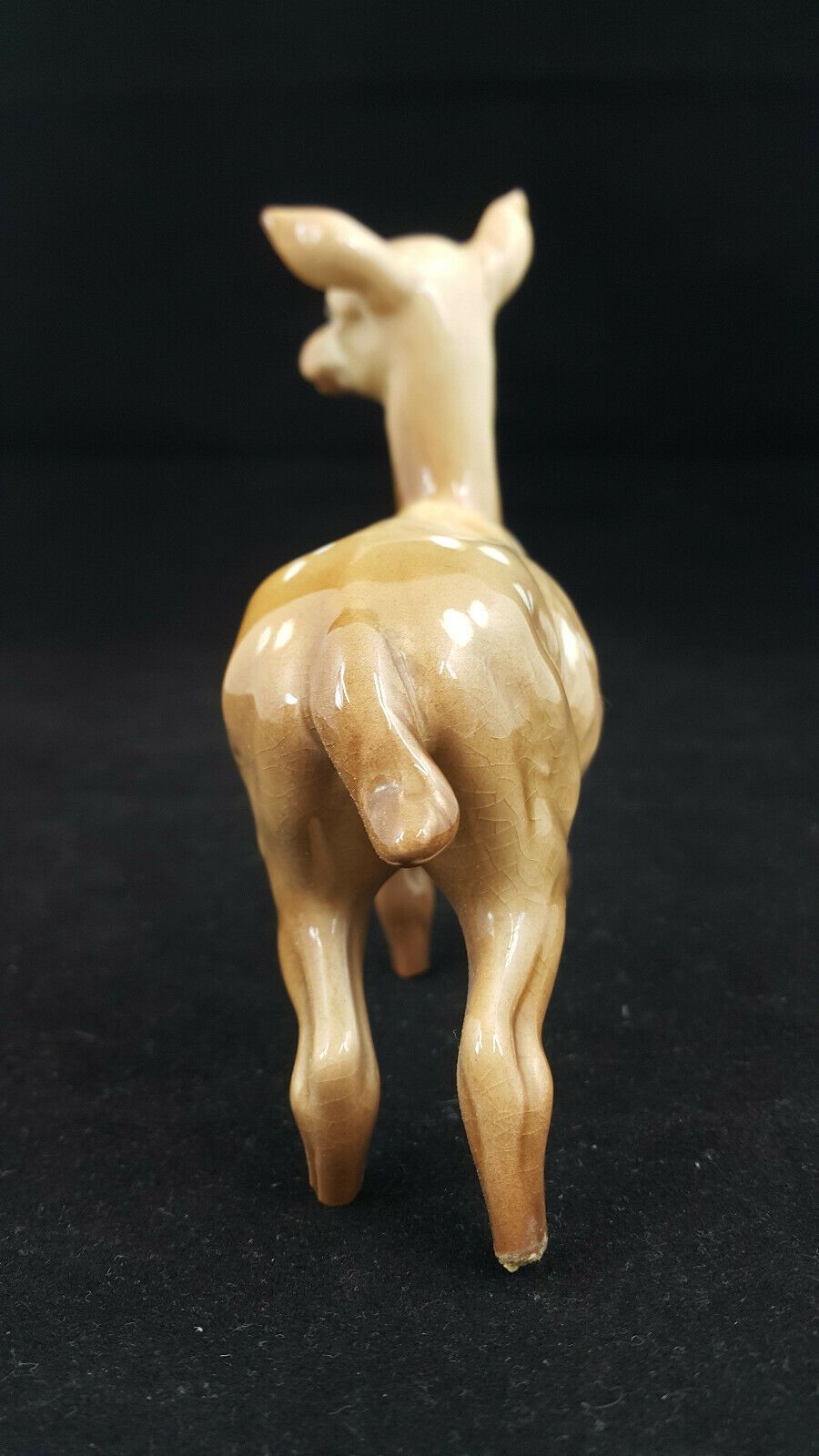 6040faad7eda9b436f739ca5