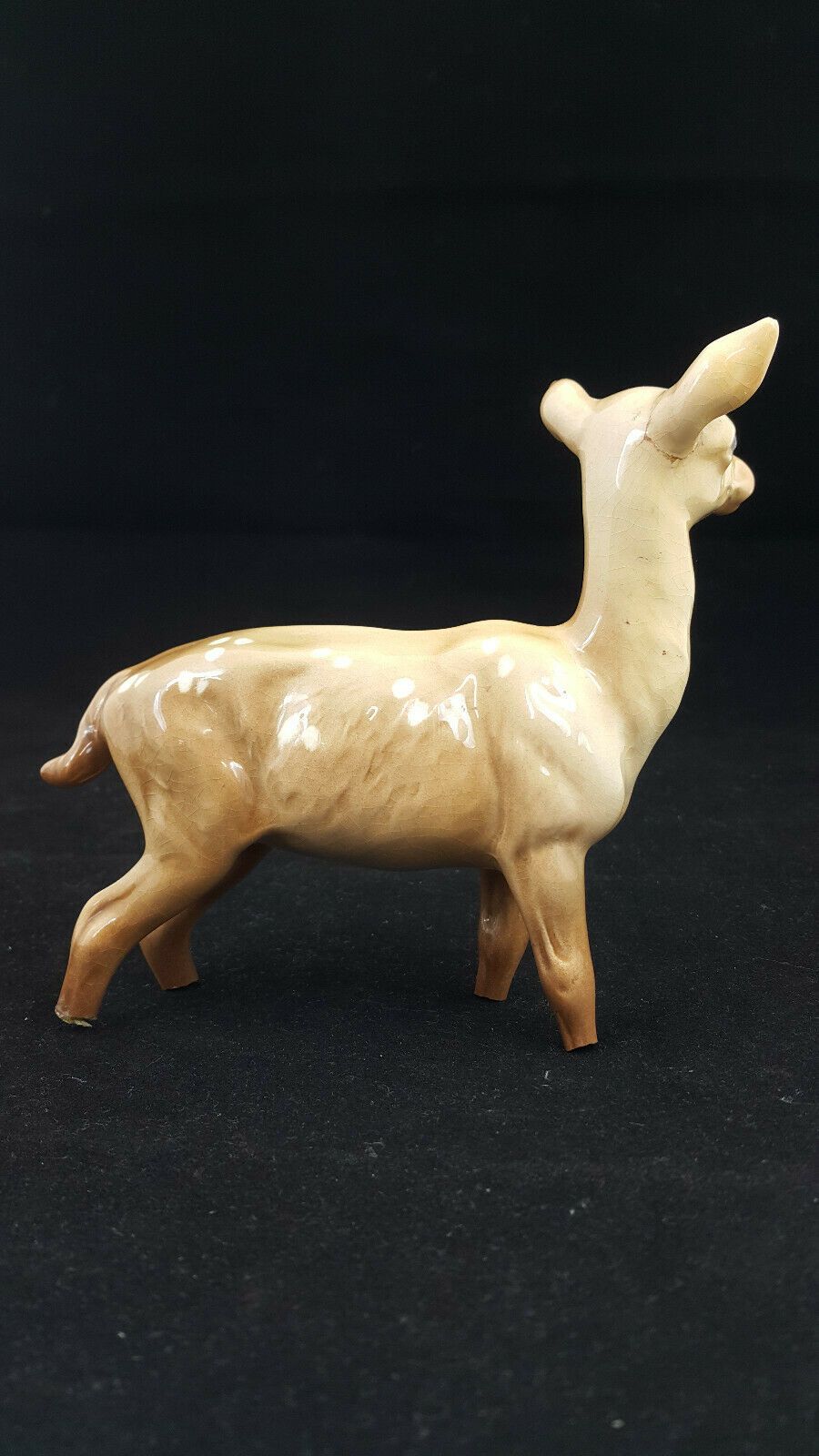 6040faae7eda9b70b0739cbf