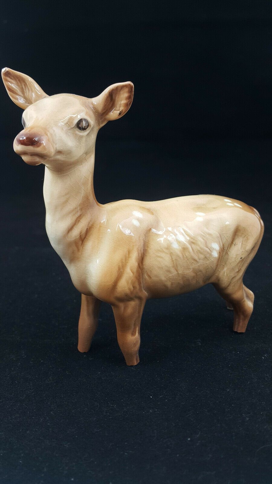 6040fab07eda9b52dd739cf1