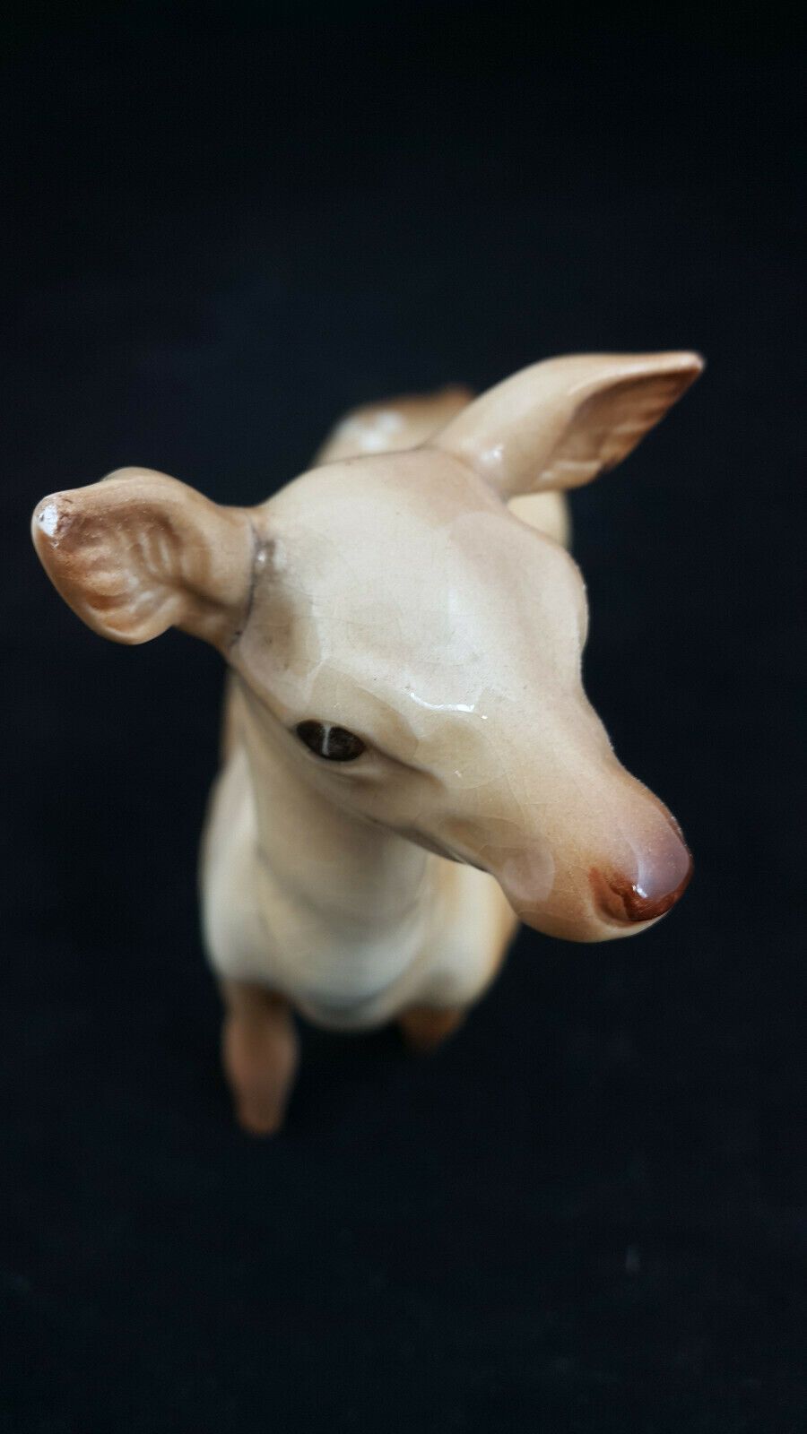 6040fab27eda9b16b3739d65