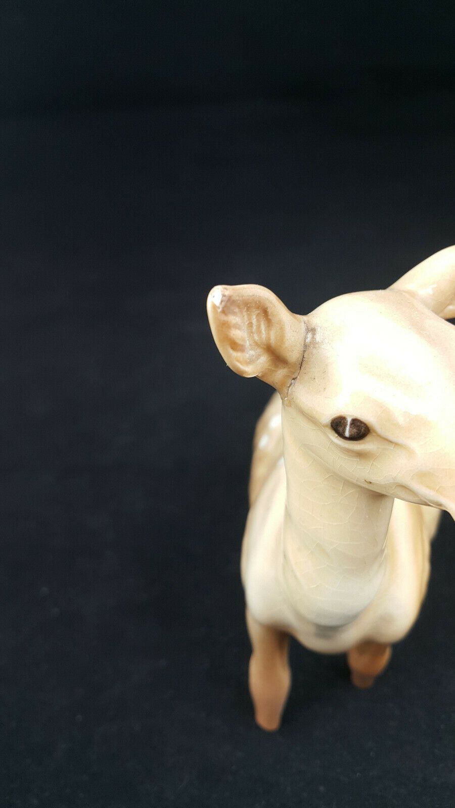 6040fab27eda9b6378739da4