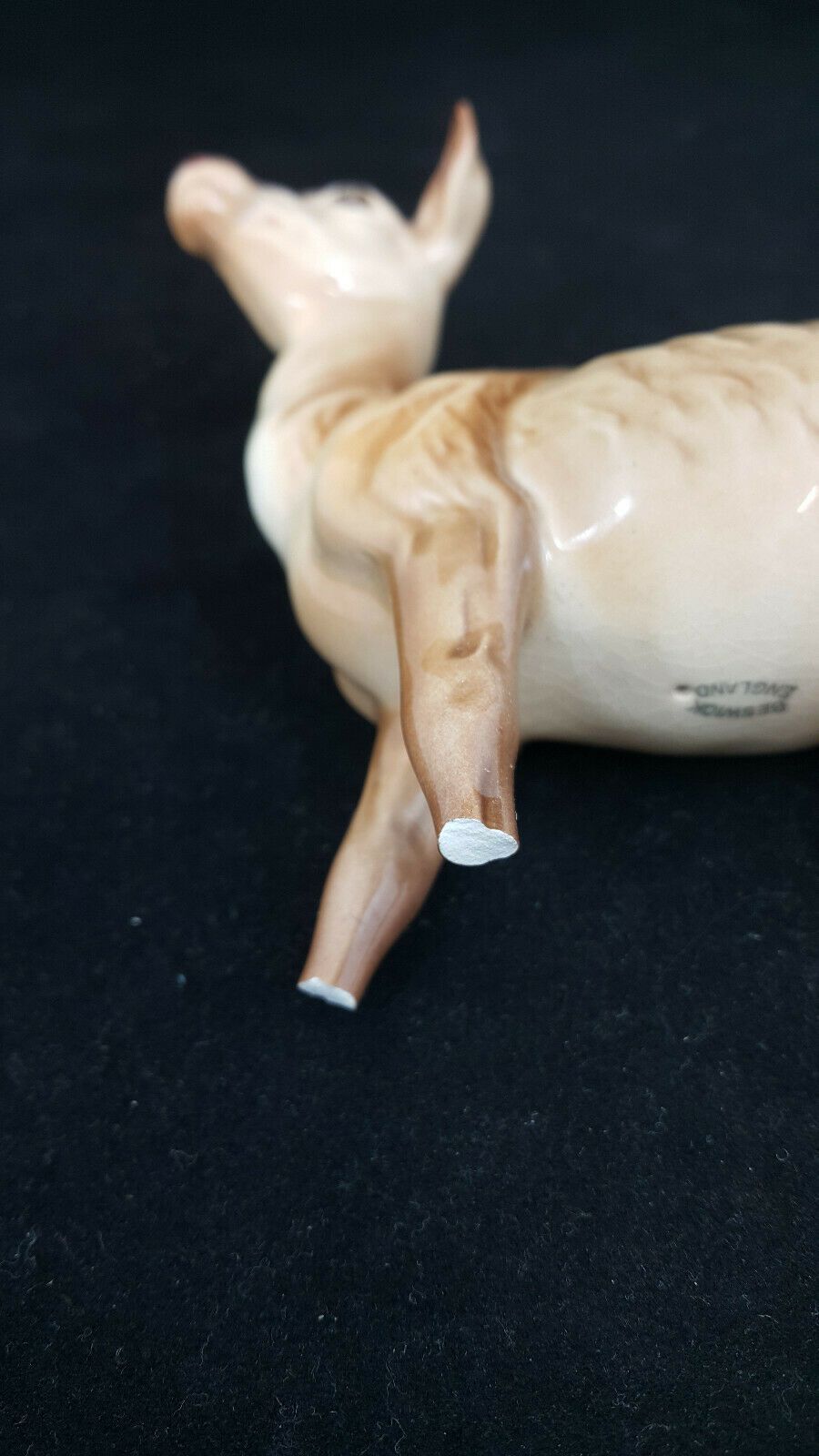 6040fab37eda9bf890739de4