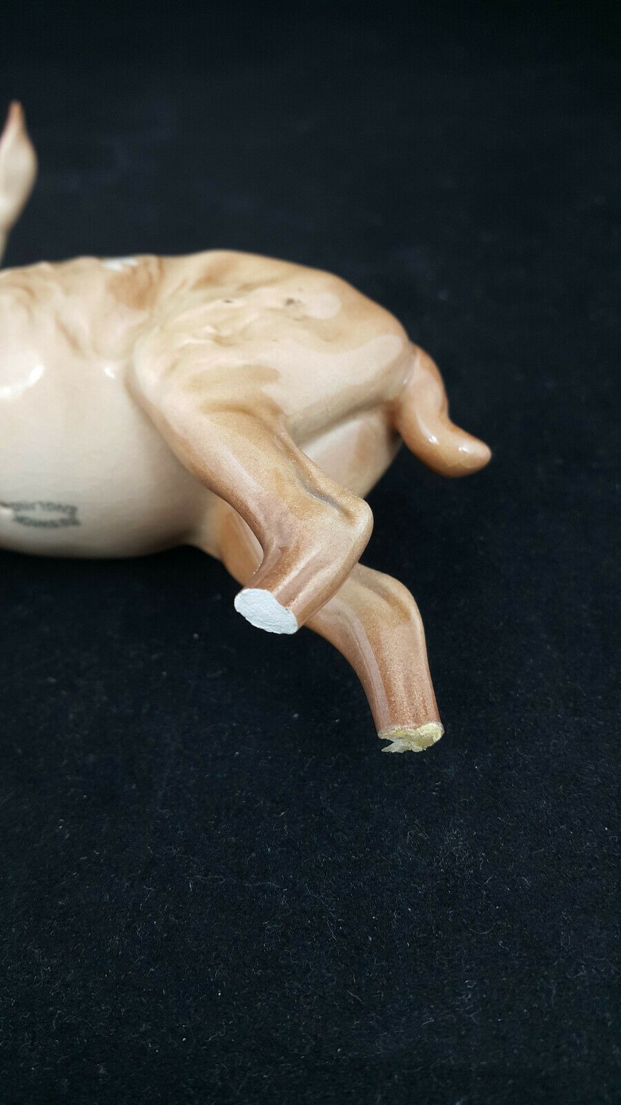 6040fab47eda9b3eef739e74