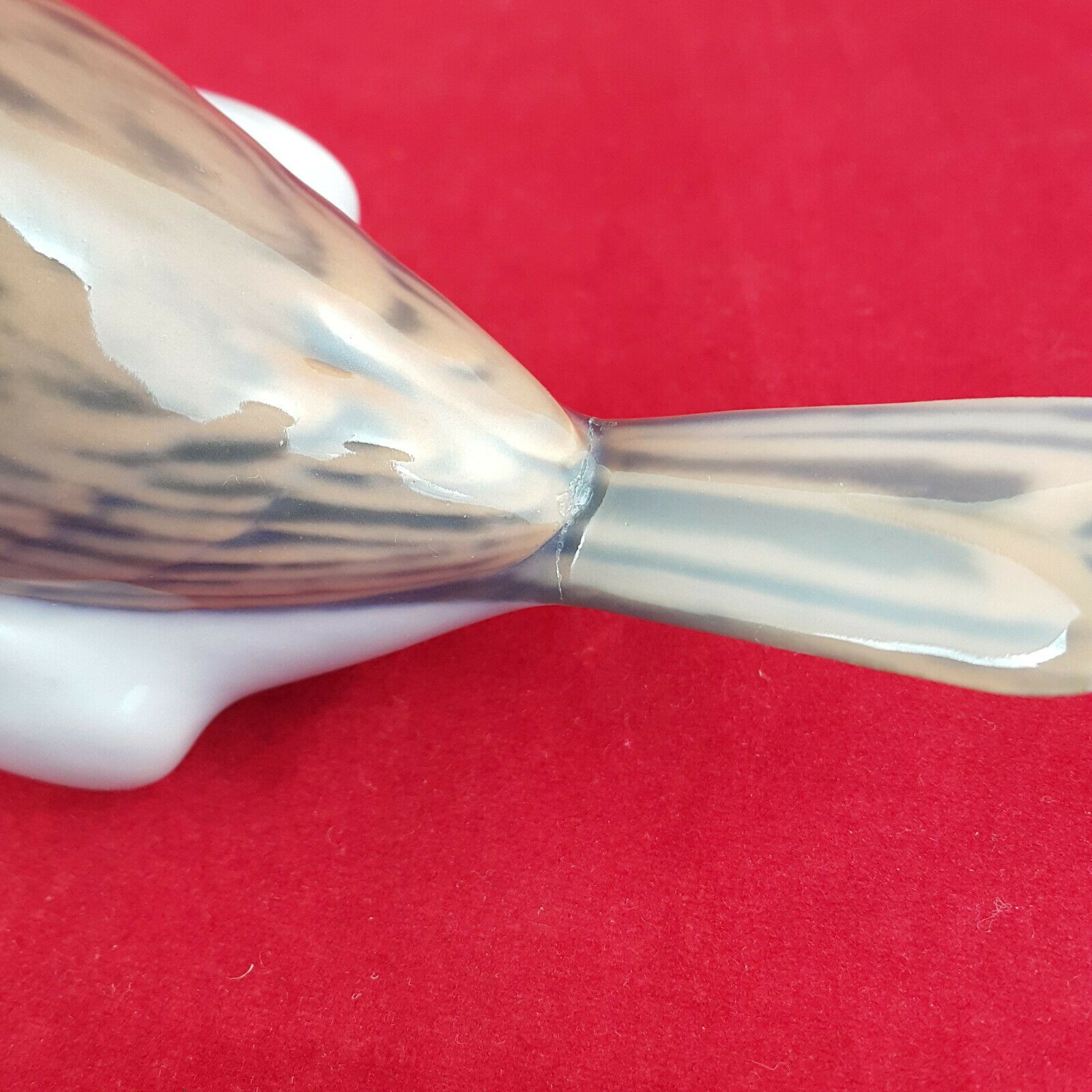 614dc2123906320818a2a655