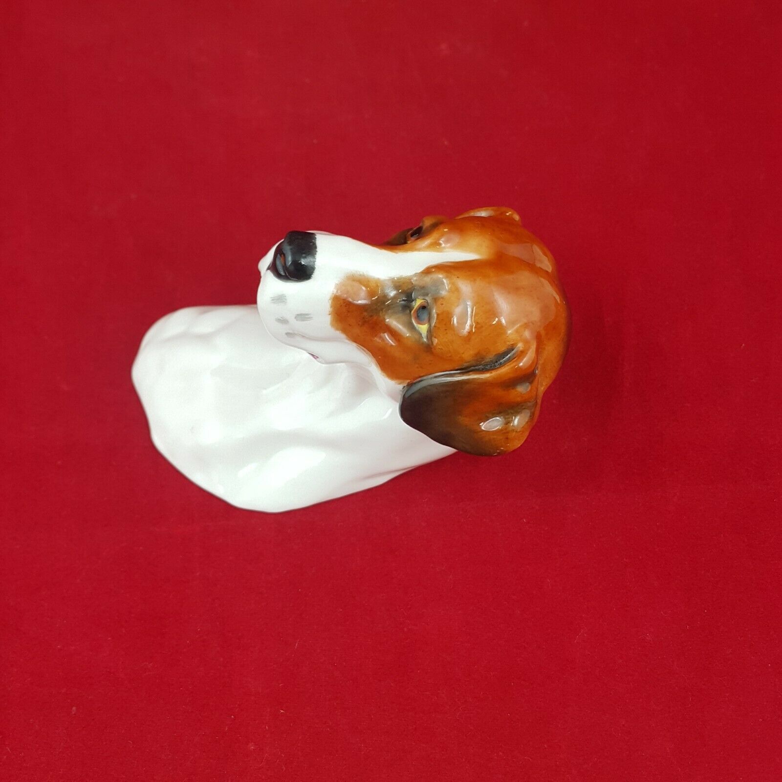 6194f907c6f6f3542916ccb6