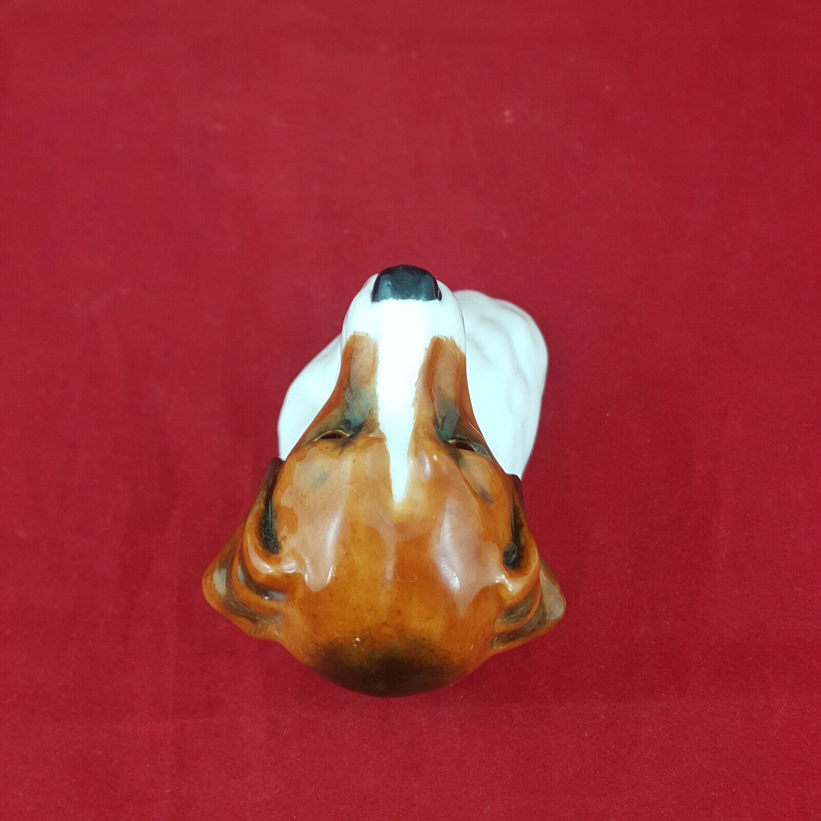 6194f909c6f6f348dd16ce84