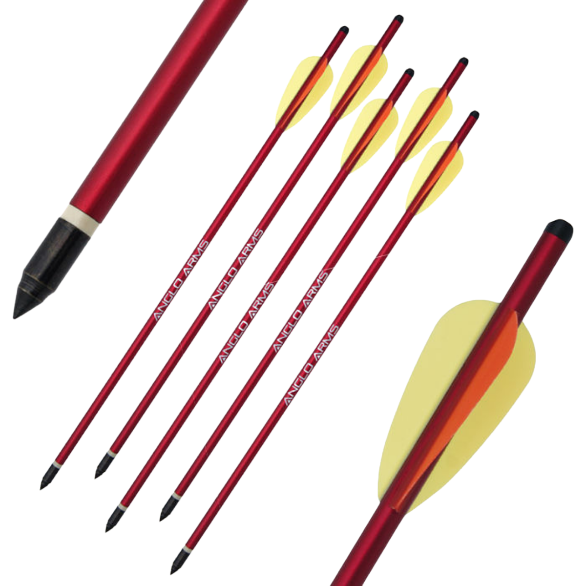 AngloArms16_BoltsForCompound_RecurveCrossbows-Packof5_1