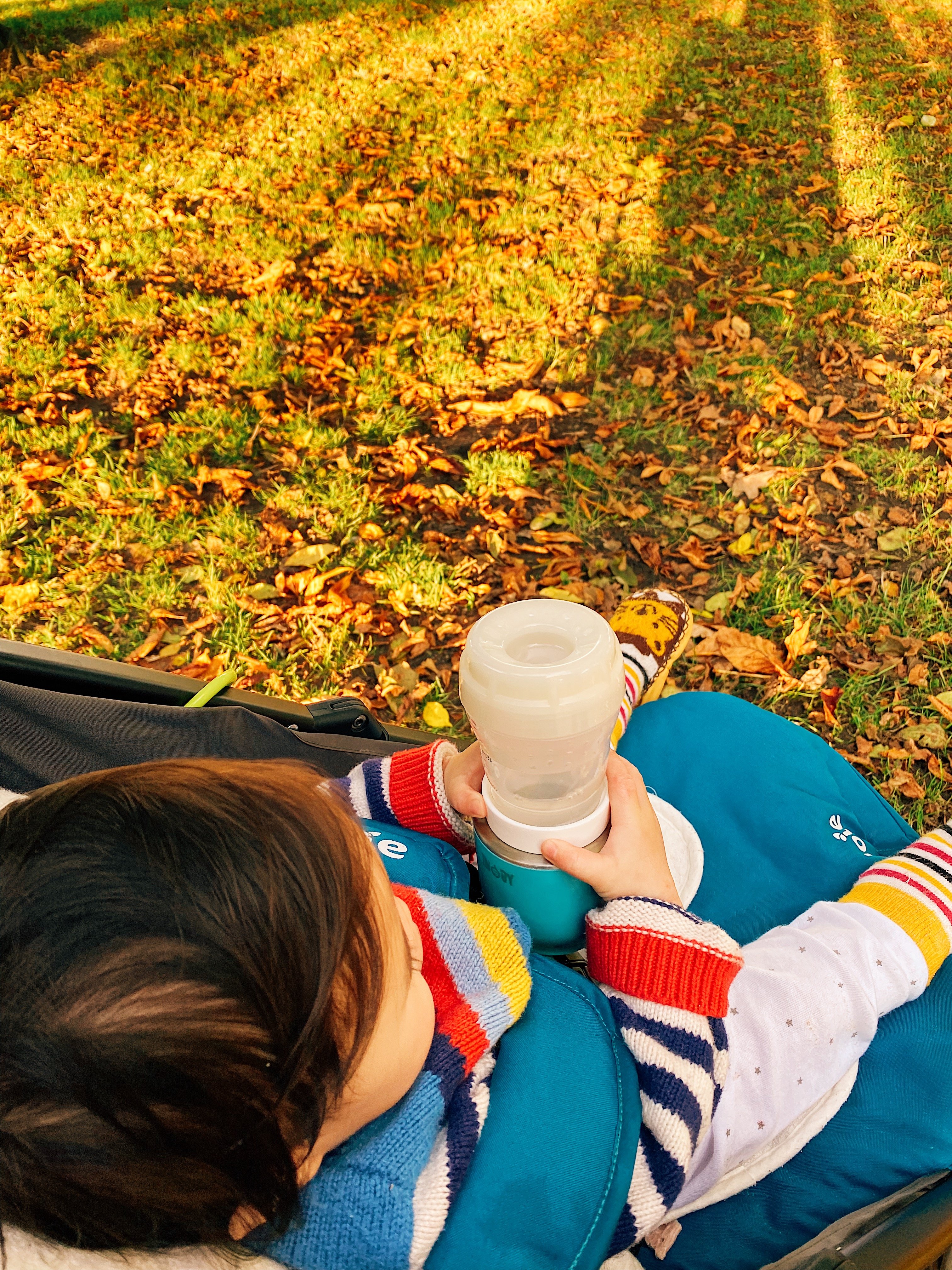 image_bda0a00b-1eca-402e-b01e-17937c241f72