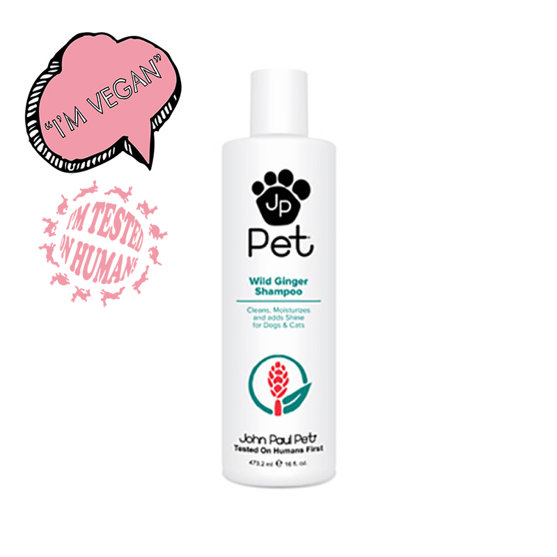 will-ginger-shampoo-jp-pet-460x620-VEGAN-humans