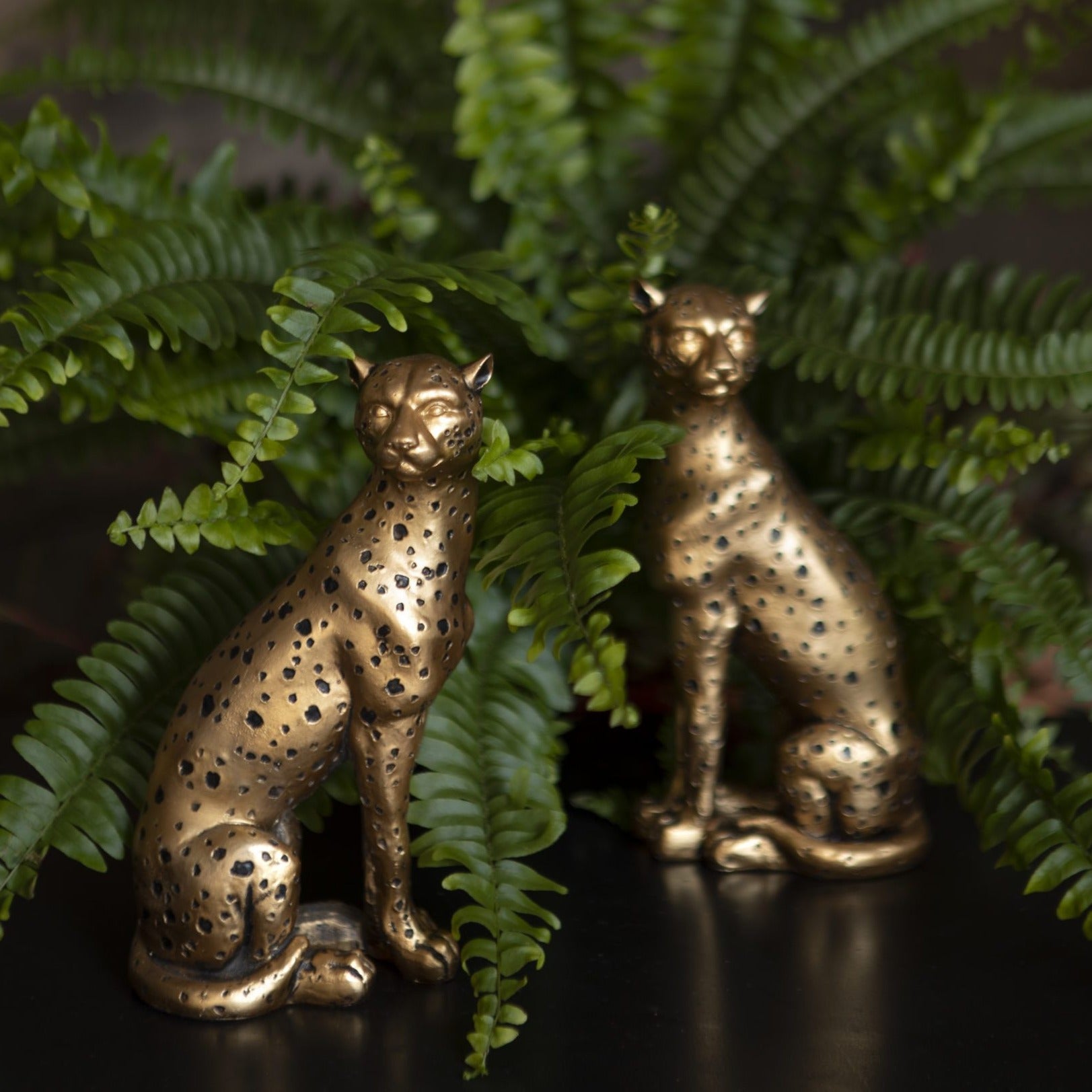 IMG_0010-copy-2-scaled