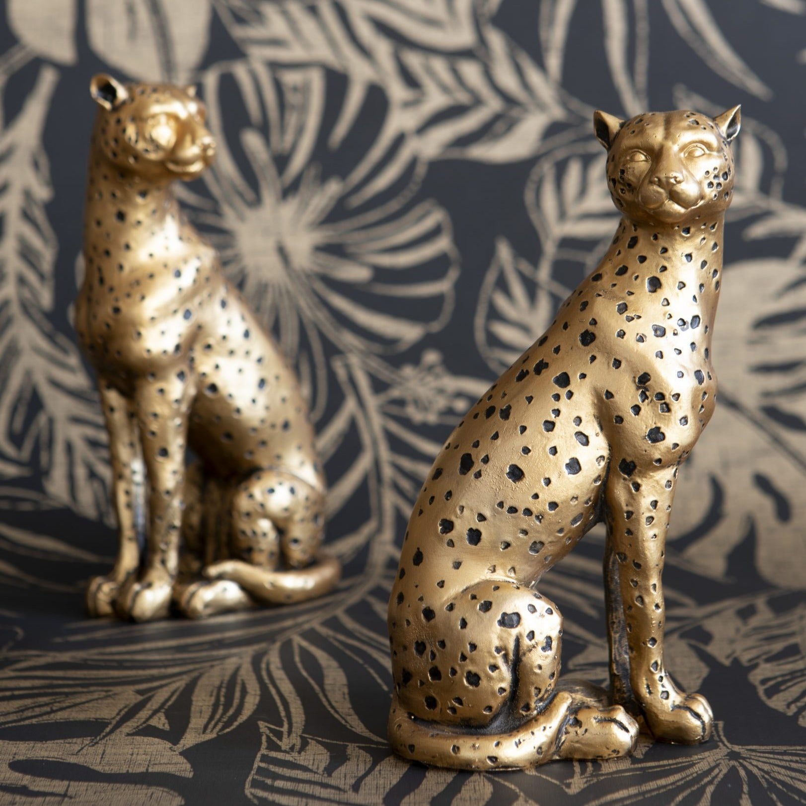 IMG_0035-copy-scaled