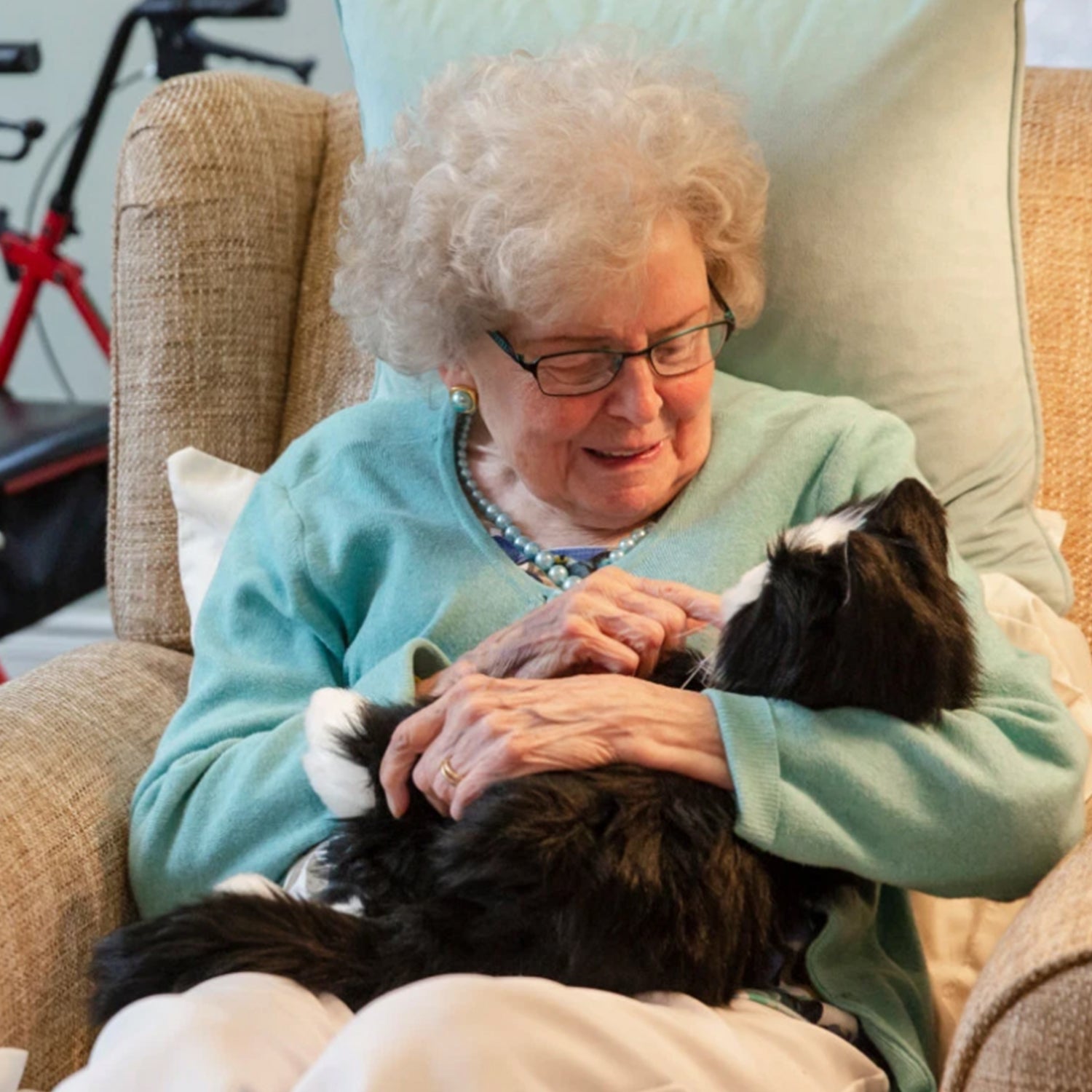 Tuxedocat6Storyandsons