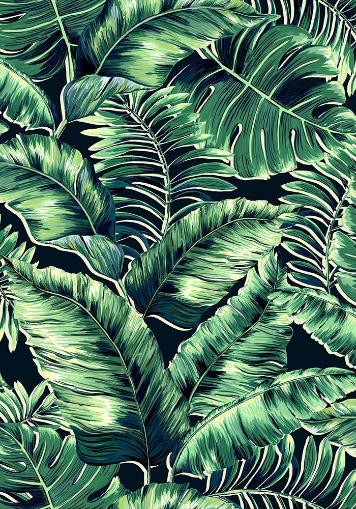 banana-leaves-max-leaf-green_1