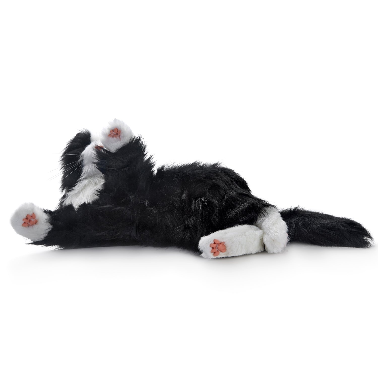 tuxedocat3Storyandsons