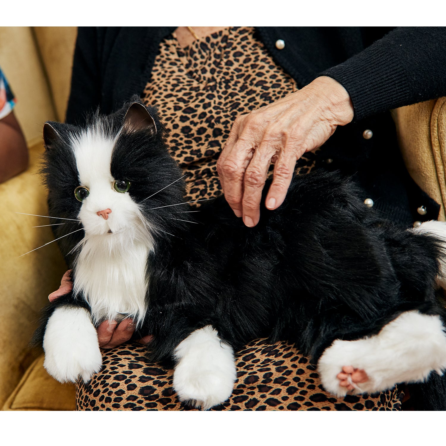 tuxedocat5Storyandsons