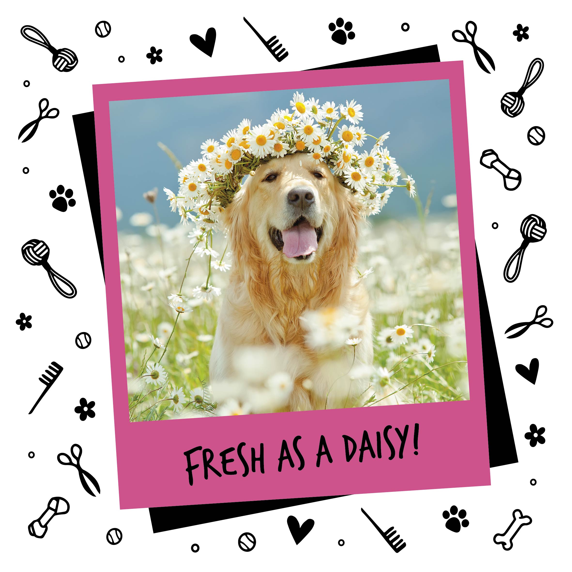 Bugalugs-Product-Listings-200ml-Baby-Fresh-Cologne-20-05-2020-08-1