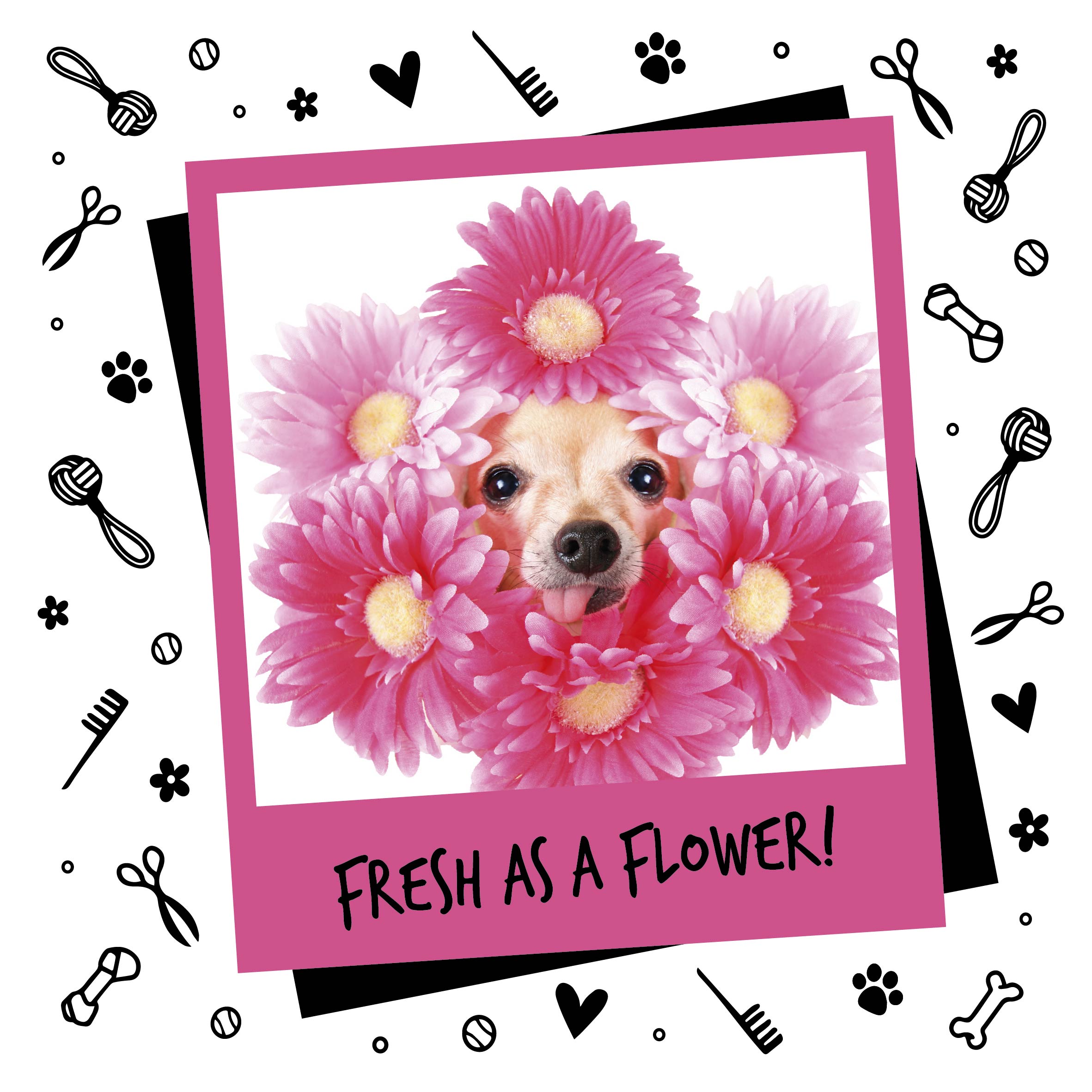 Bugalugs-Product-Listings-200ml-Baby-Fresh-Cologne-20-05-2020-10