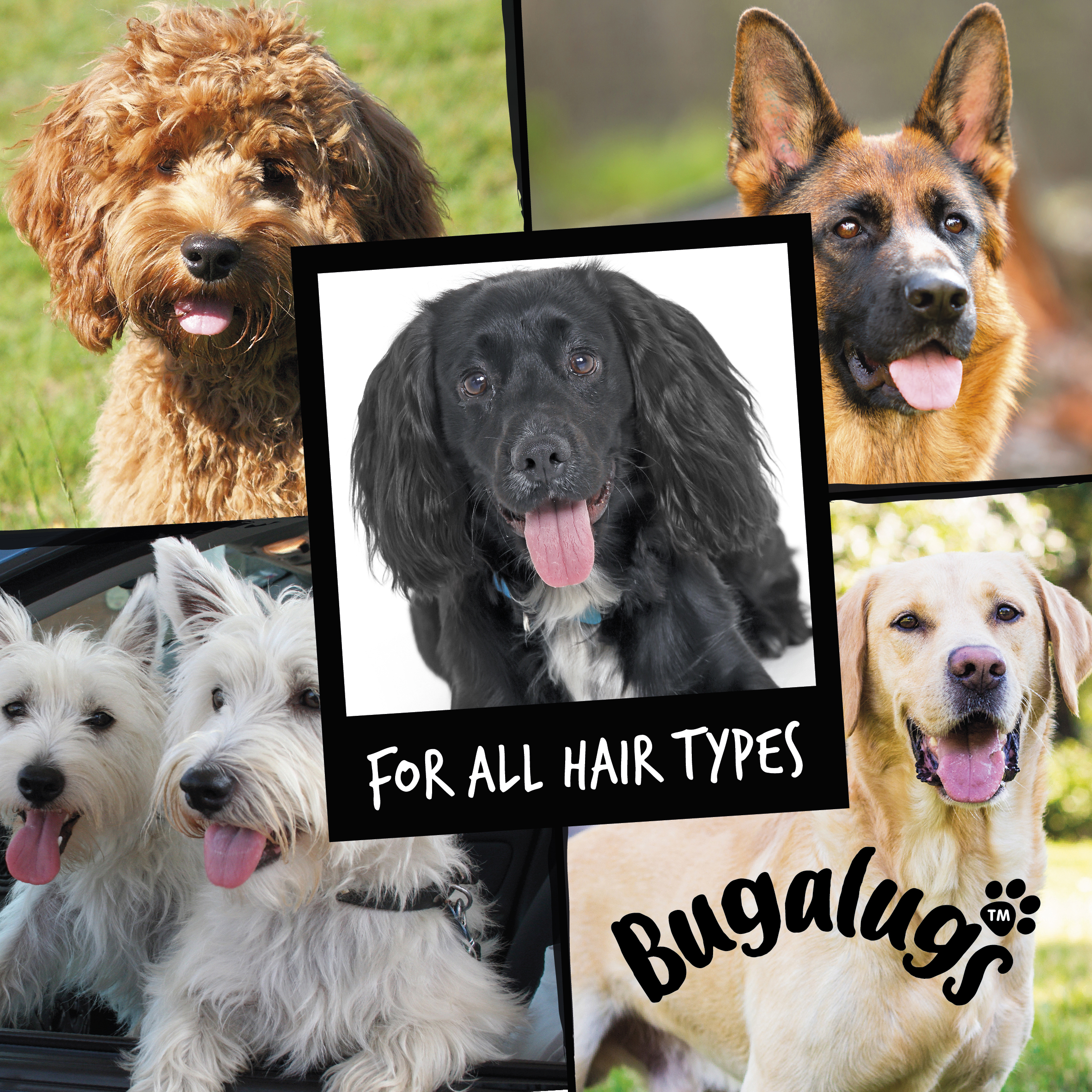 Bugalugs-Shampoo-For-all-hair-types-1
