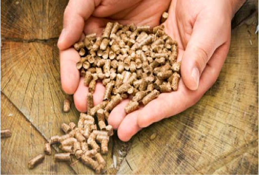 agreeneralternative-biomass-wood-pellets
