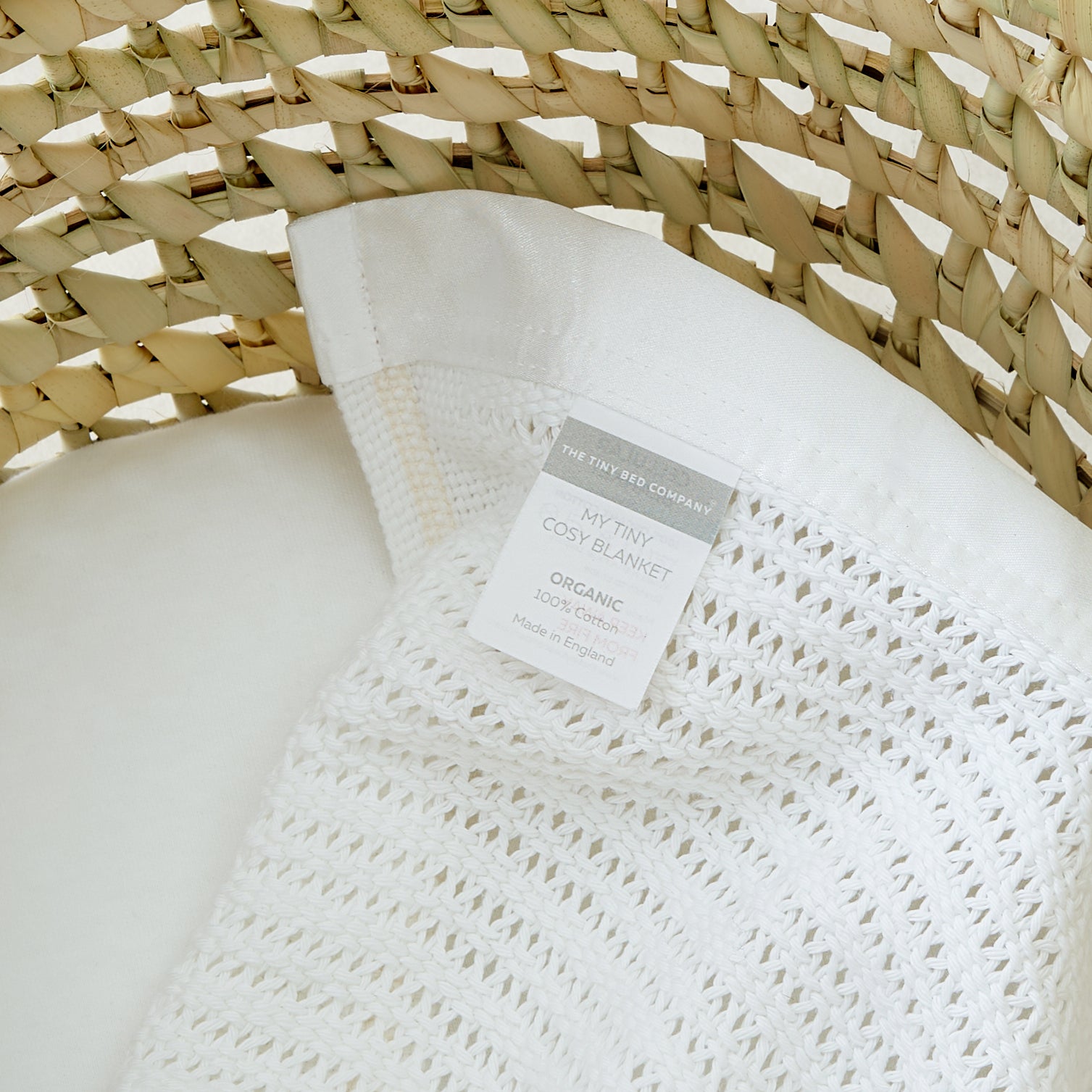 31_05441d9a-23d8-49f8-998e-fcbd28e82c24