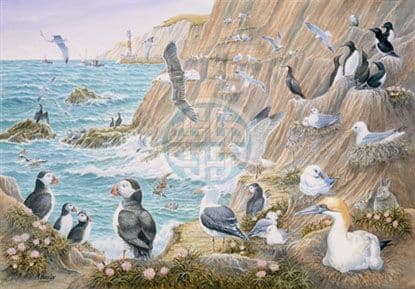 sea-breeze-1000-pieces-178786-p