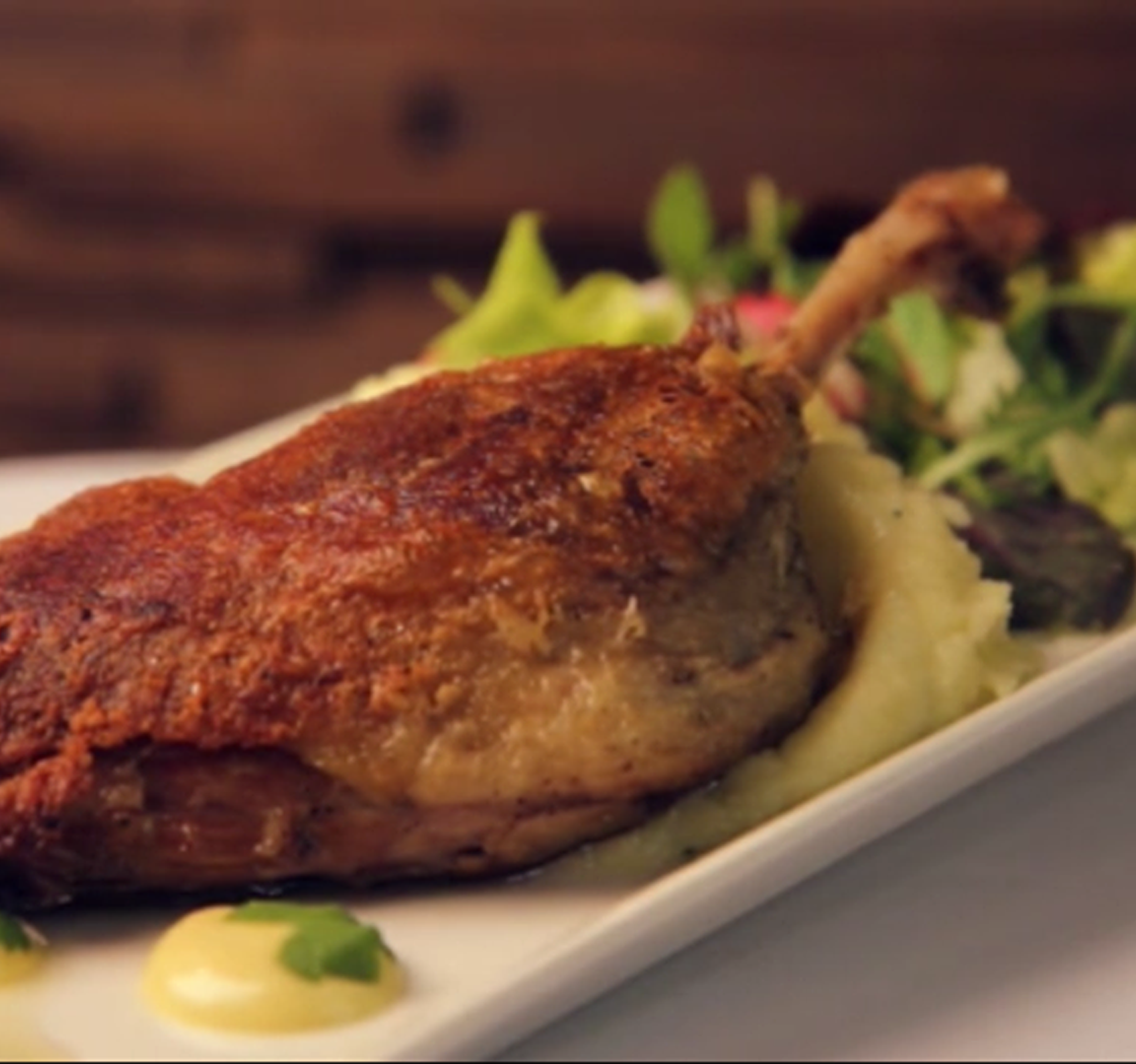 mrduck-1-Copy-Copy-1