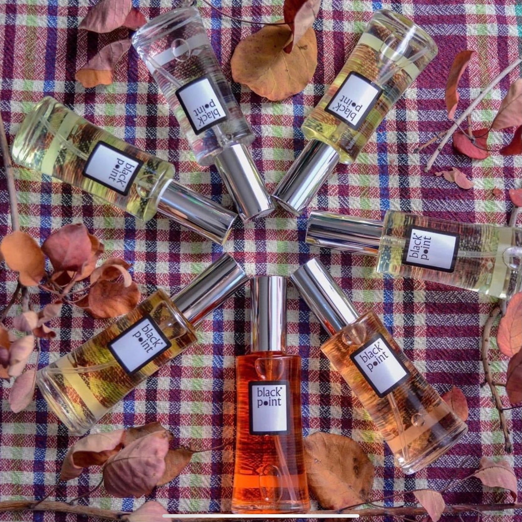 image_daf96673-ea9f-4af6-871d-c9df500b0c57