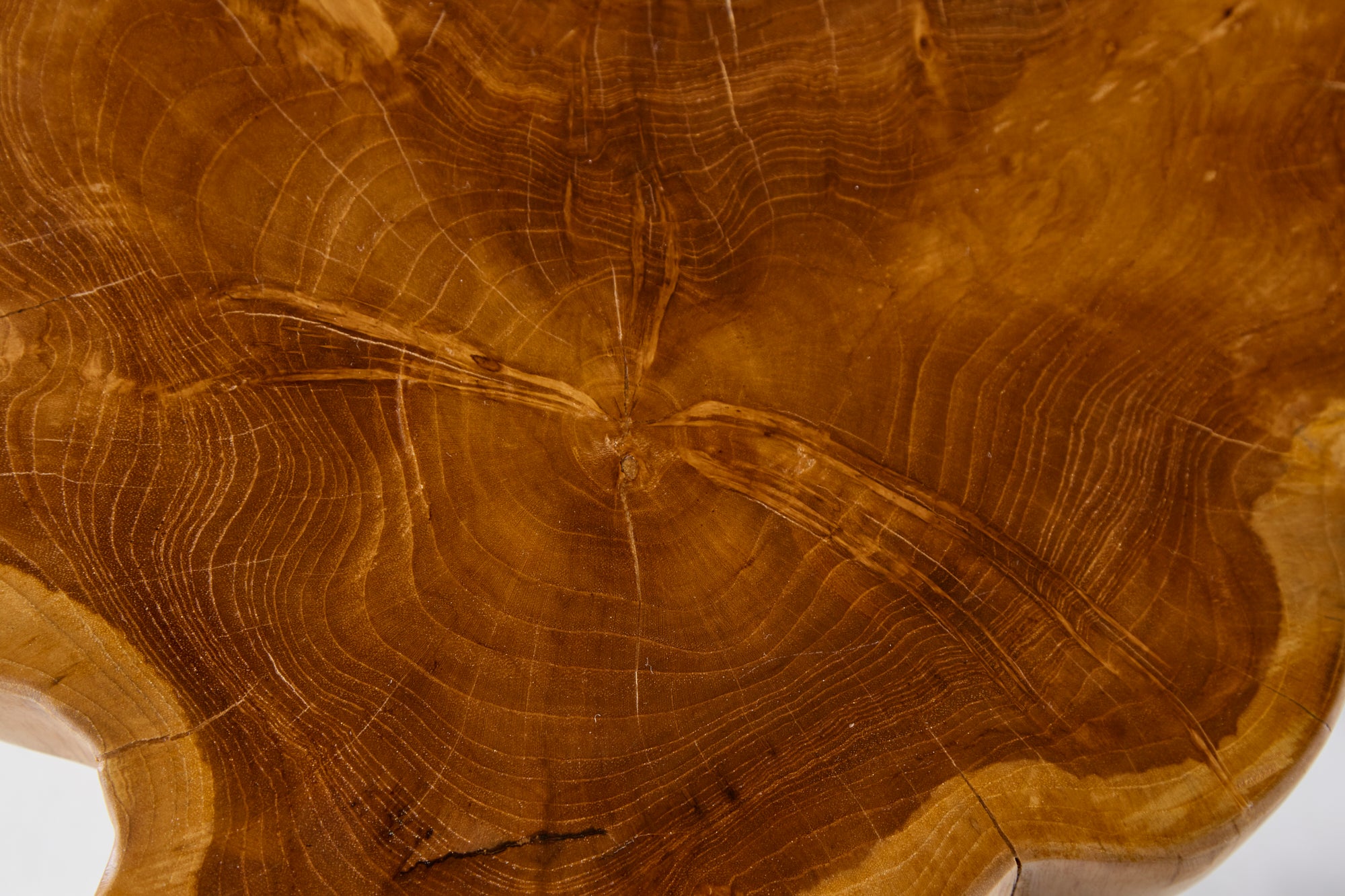 media_images_org_file0031795